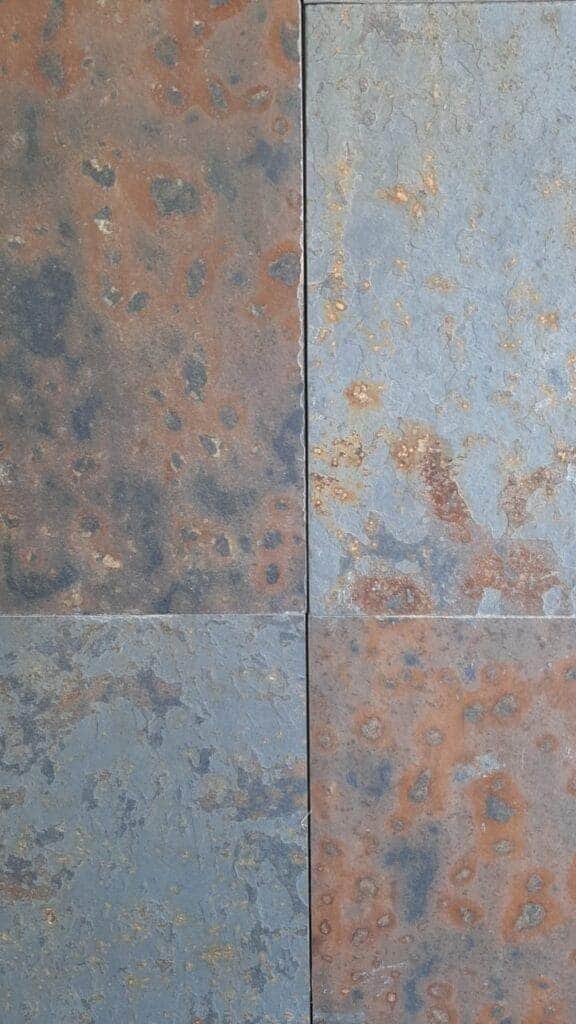 Proyecto Piedras Canning 13