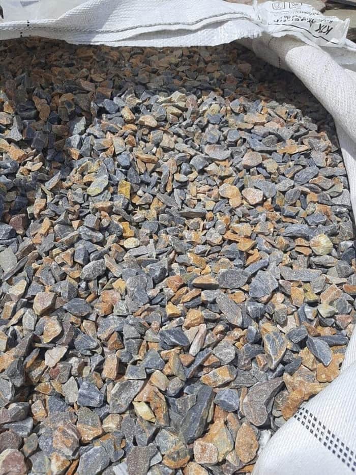 Proyecto Piedras Canning 14