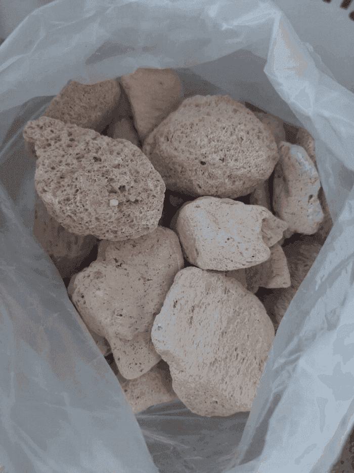 Proyecto Piedras Canning 6