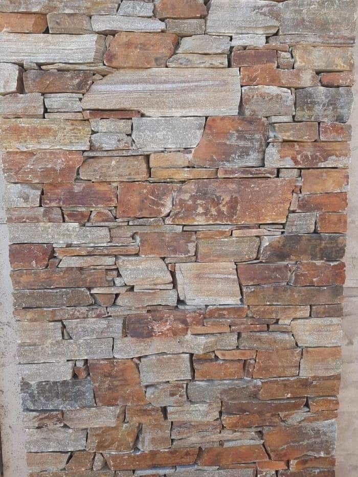 Proyecto Piedras Canning 7