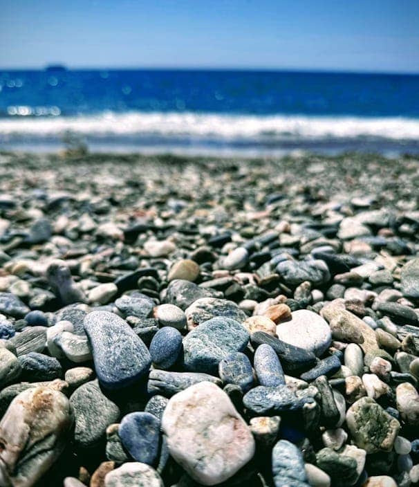Compromiso y Calidad - Piedras Canning