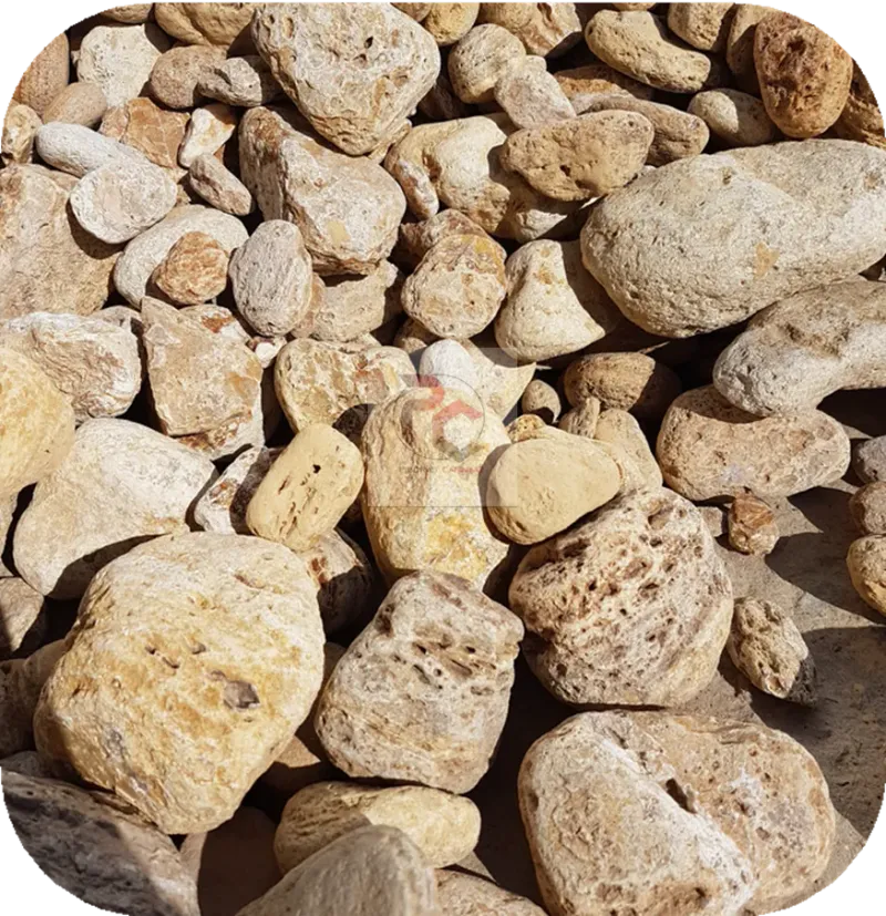 Rotondada Popelin